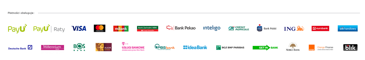 Pasek_banki_karty_raty.png